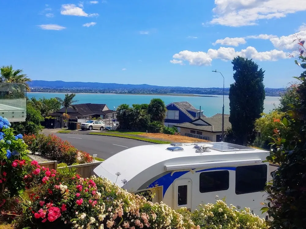 Annabelle's Boarding Cattery - Auckland pet otel görseli 3