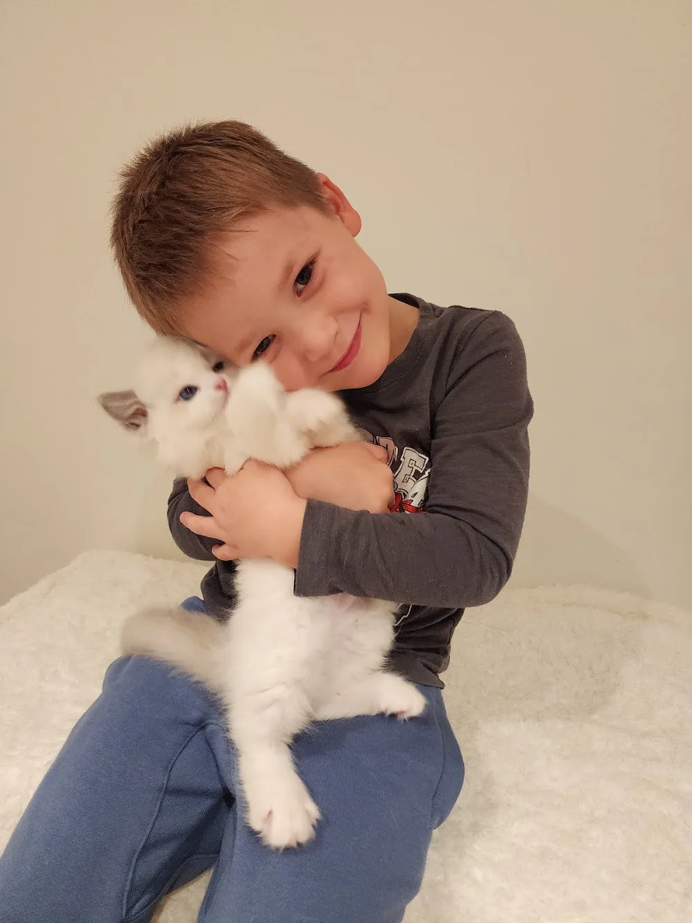 Kiwimagic Ragdolls - Auckland pet otel görseli 2