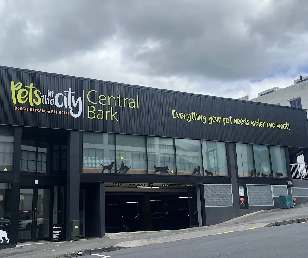 Pets In The City Central Bark Dog Daycare & Pet Hotel - Auckland pet otel
