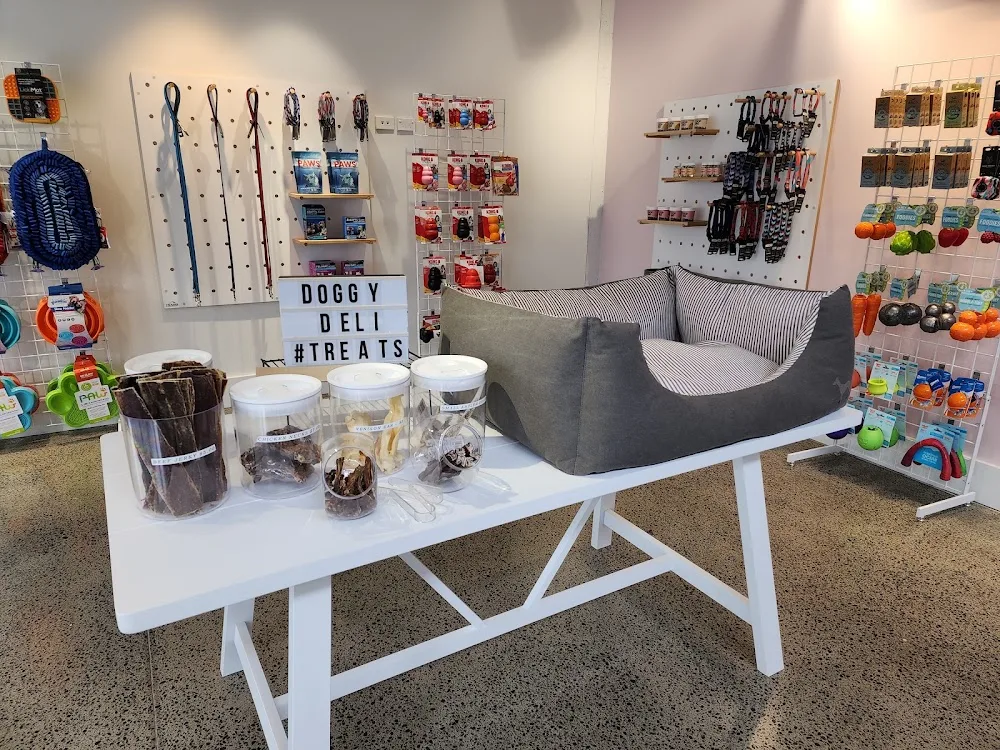 Pets In The City Central Bark Dog Daycare & Pet Hotel - Auckland pet otel görseli 3