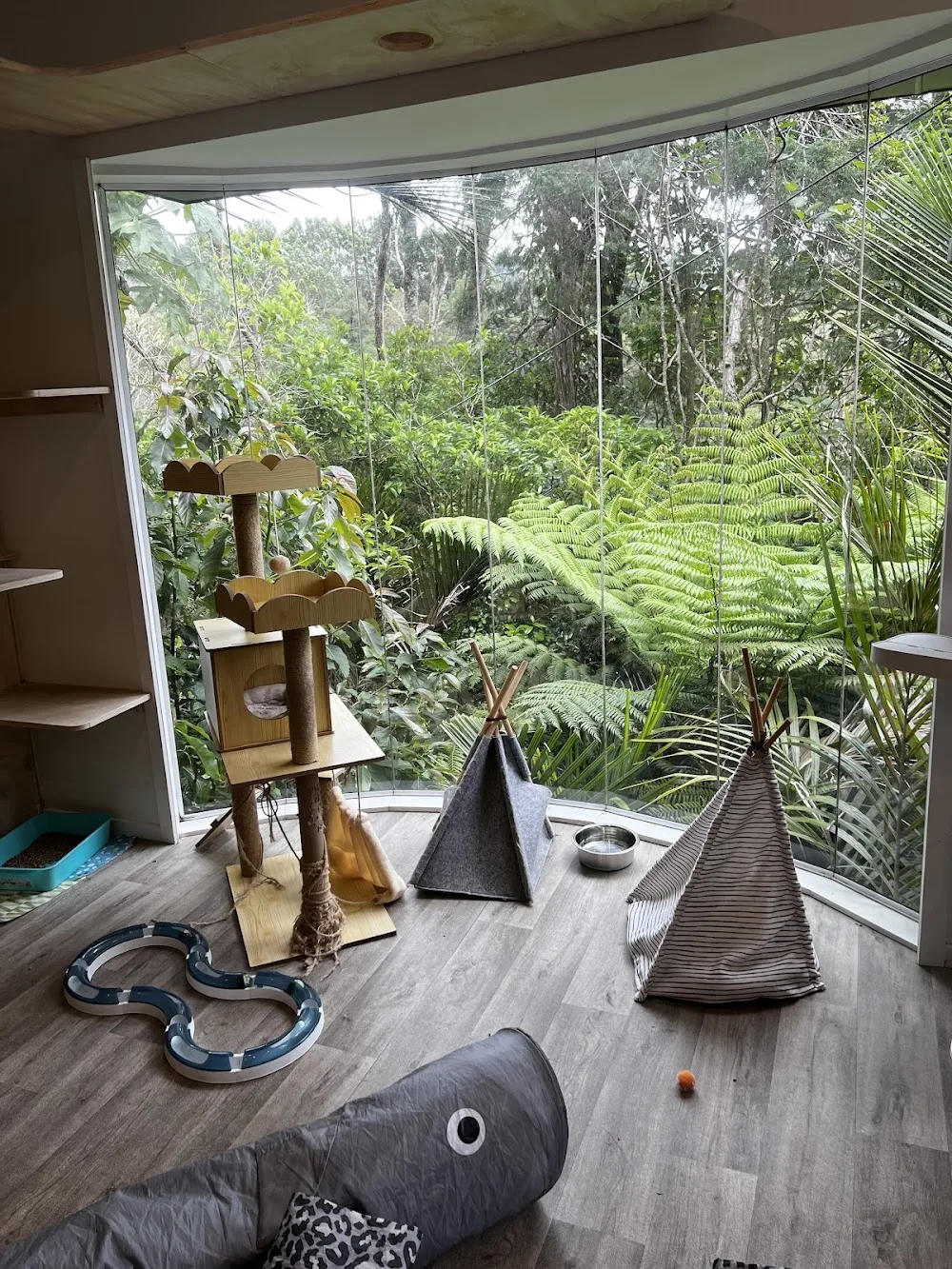 Purradise Manor Cattery - Auckland pet otel