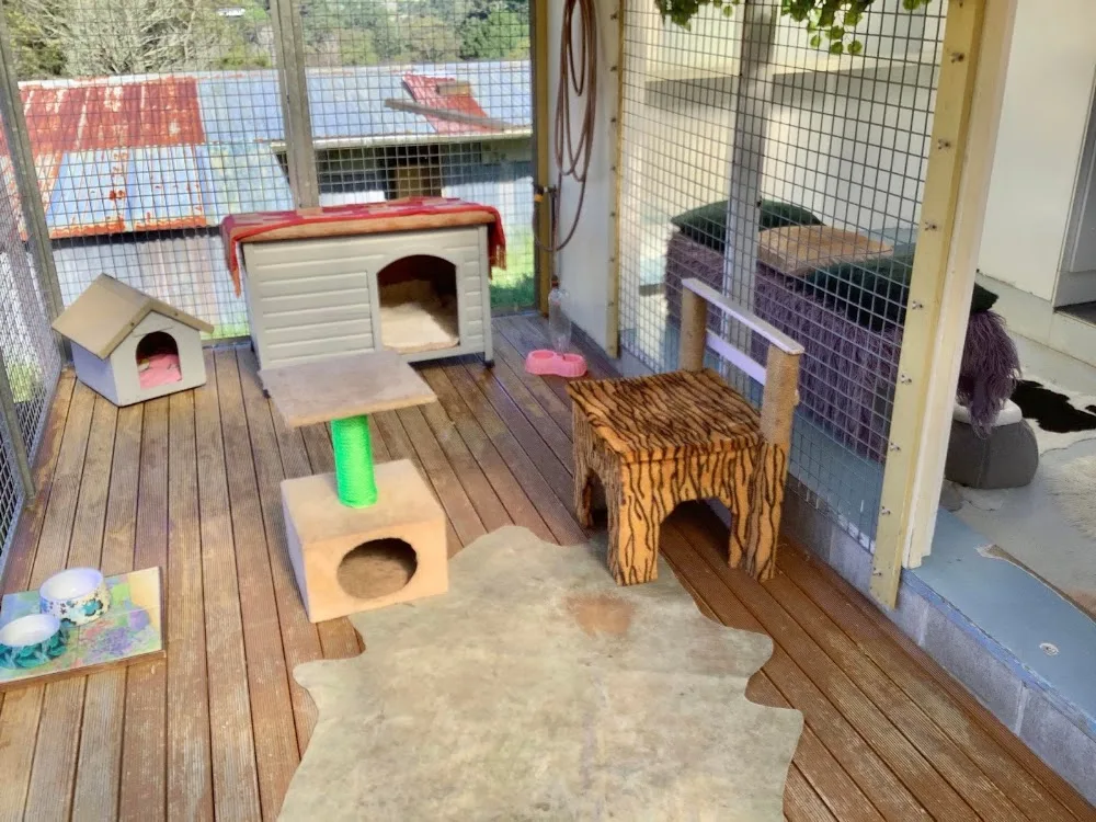 Tunnel Hill Cat Motel - Auckland pet otel görseli 3