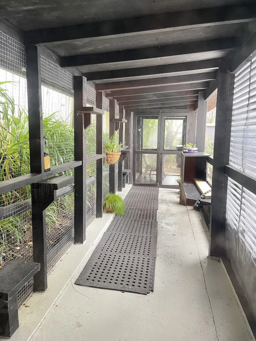 Whangaparaoa Cattery - Auckland pet otel görseli 2