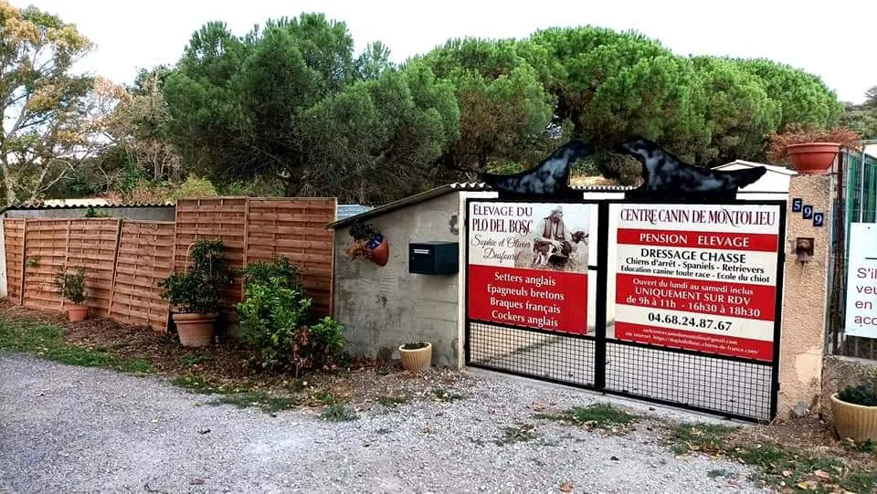 Centre Canin de Montolieu - Aude pet otel