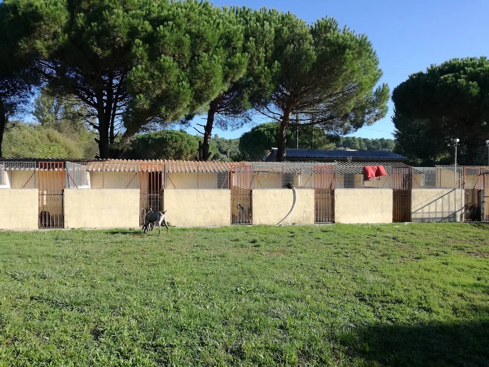 Centre Canin de Montolieu - Aude pet otel görseli 3