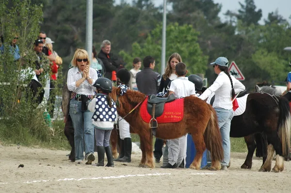 Centre equestre de Peyriac de mer & Pensions Canine - Aude pet otel
