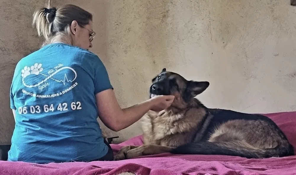 Garde ma patte - Garde d'animaux-Massage canin - Education canine- Narbonne - Aude pet otel