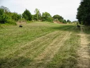 Kennel & Cattery - Aude pet otel görseli 3