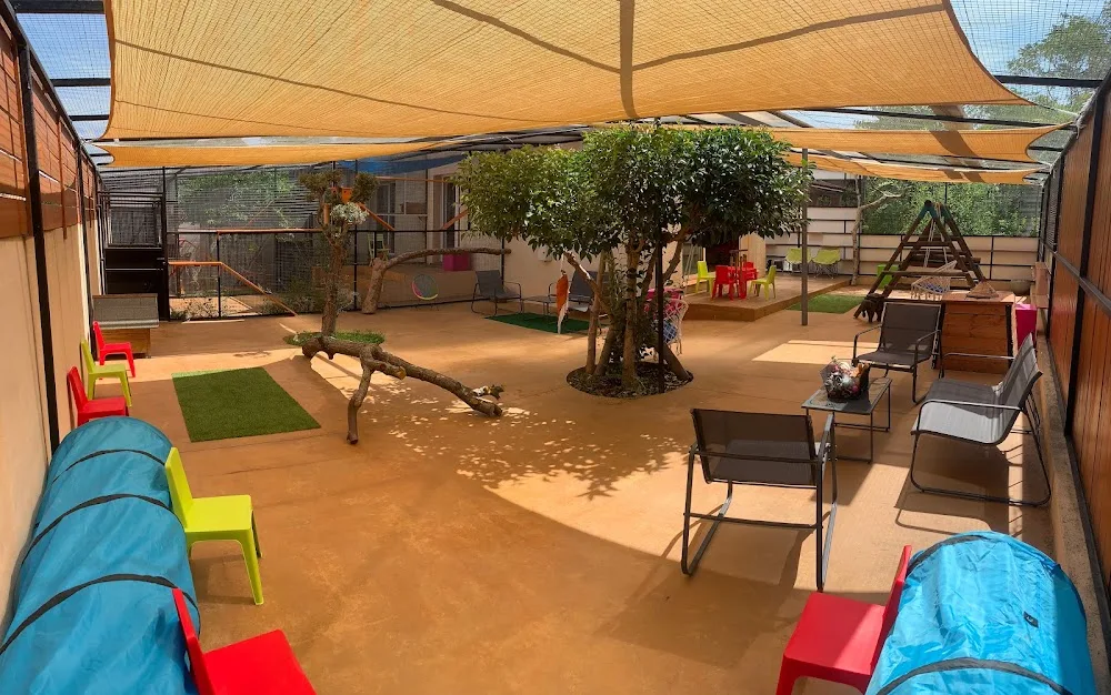 La Maison des Chats - Pension féline - Aude pet otel