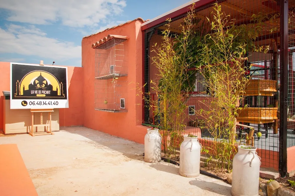 La vie de Pachat - Chatterie (Pension Féline) - Aude pet otel görseli 3