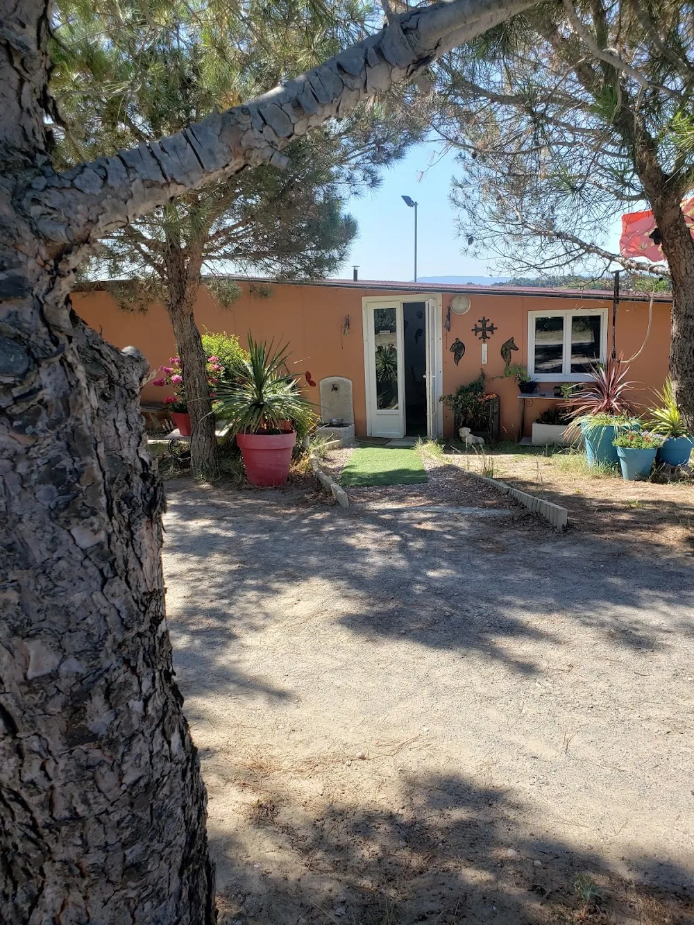 L'Oustal pension chien & chat - Aude pet otel