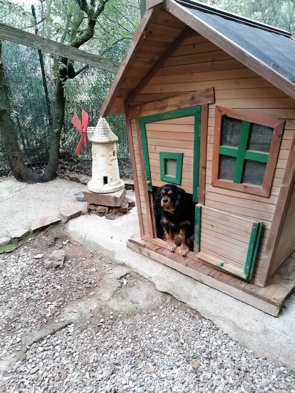 Pension canine 4 os pour Chien et Chat - Aude pet otel