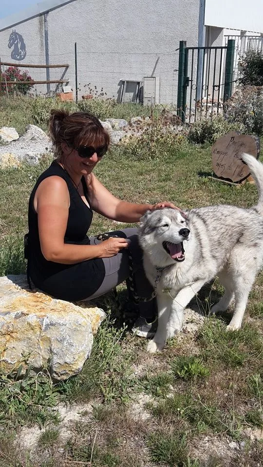 Pension Canine du Mas de l'ile - Aude pet otel görseli 3