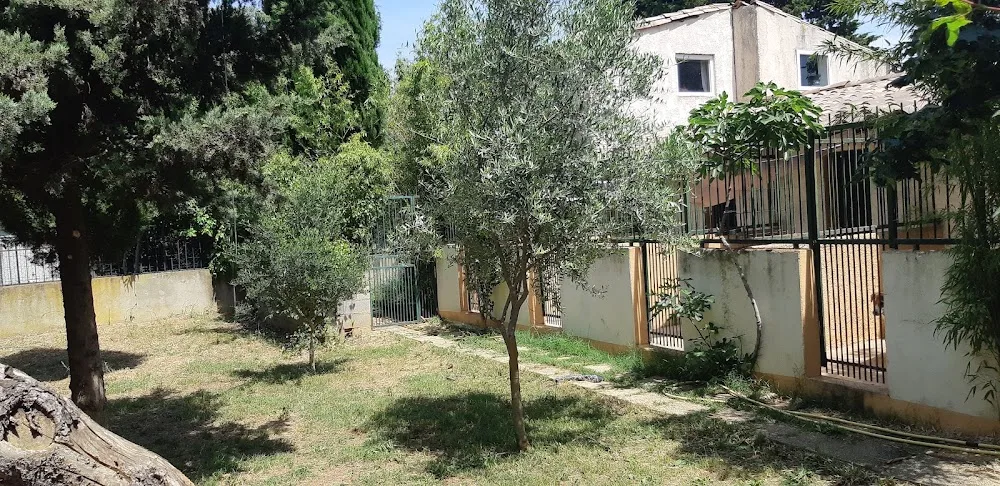 Pension canine et feline des corbieres - Aude pet otel görseli 2