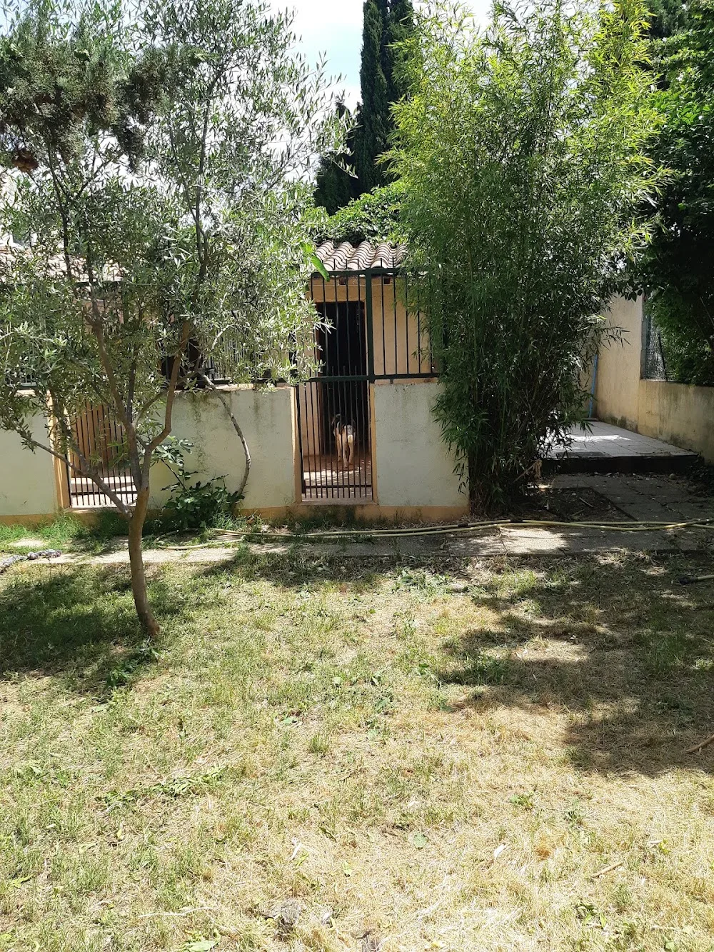 Pension canine et feline des corbieres - Aude pet otel görseli 3
