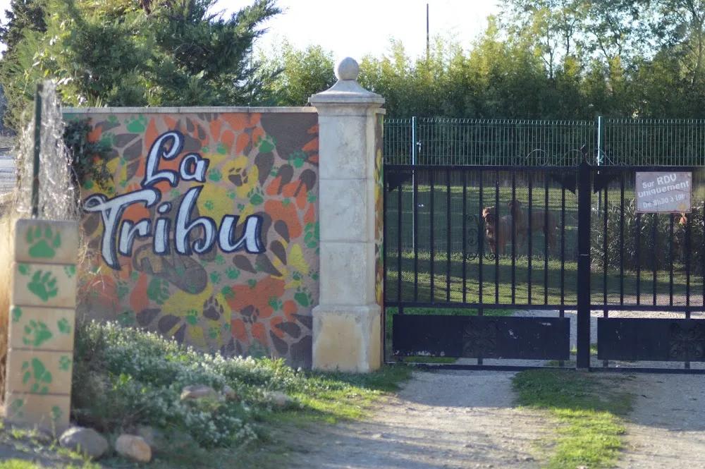 Pension la Tribu - Aude pet otel görseli 3