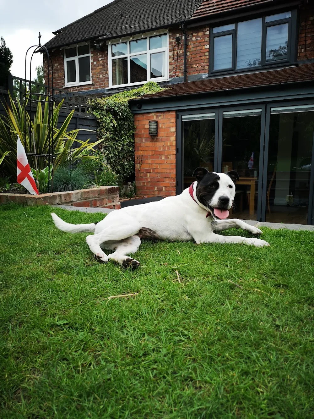 Santosha Boarding Kennels & Cattery - Audlem pet otel görseli 3