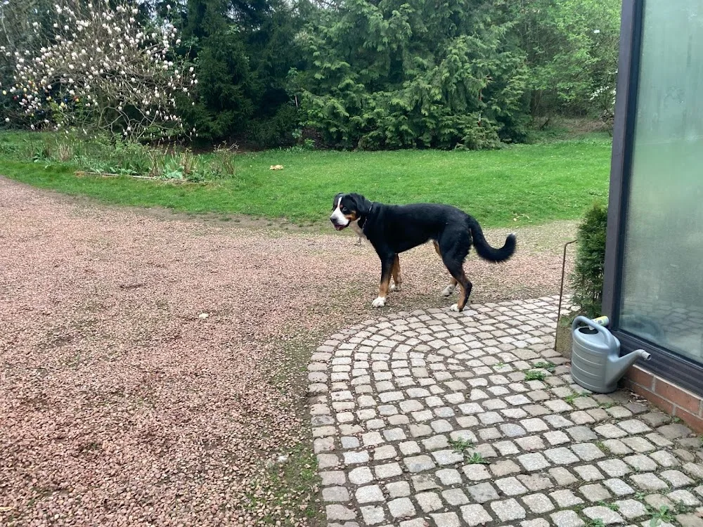 Tierpension Schulze - Augustusburg pet otel görseli 6