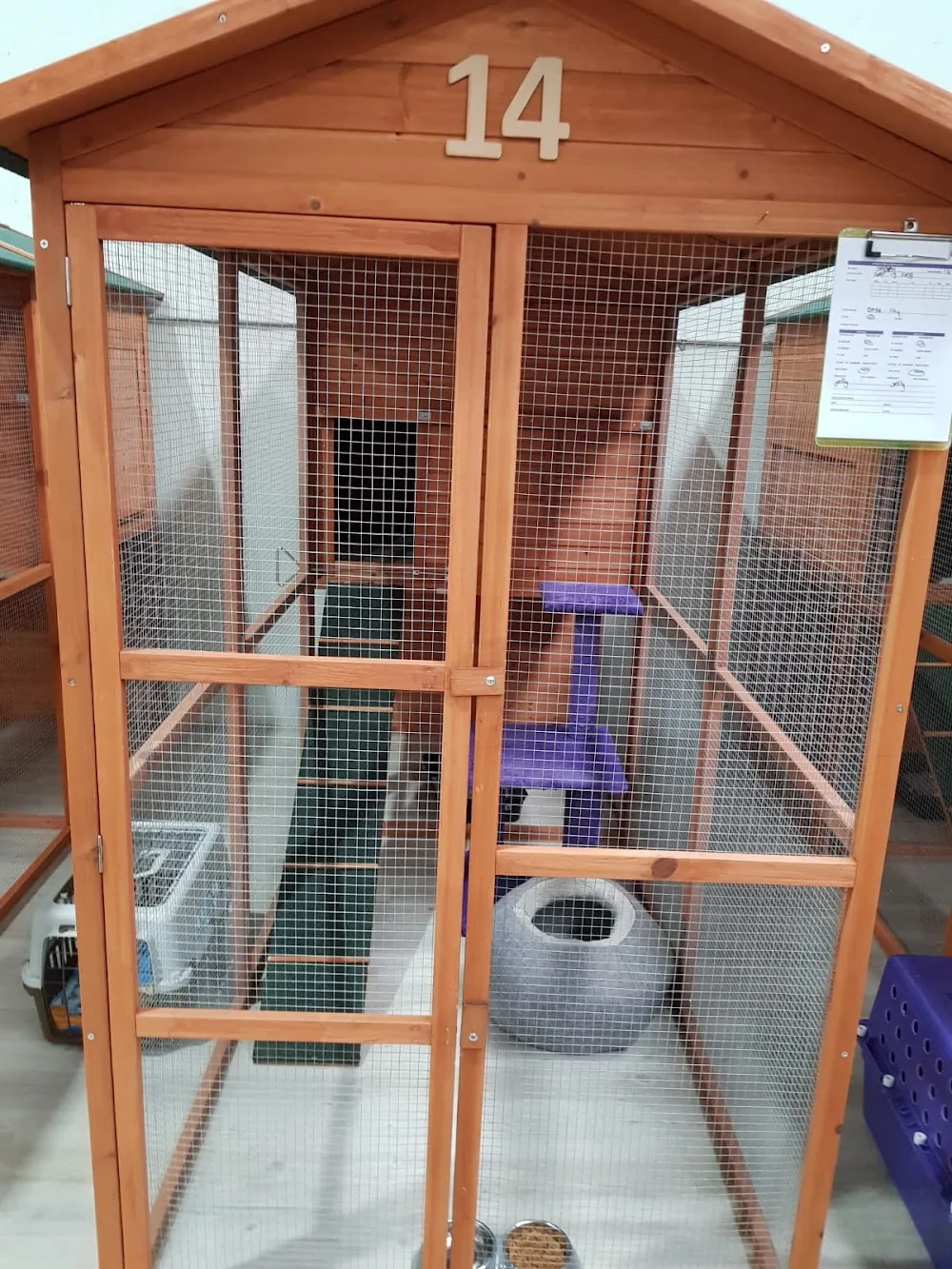 4Paws Cattery - Australia pet otel görseli 3