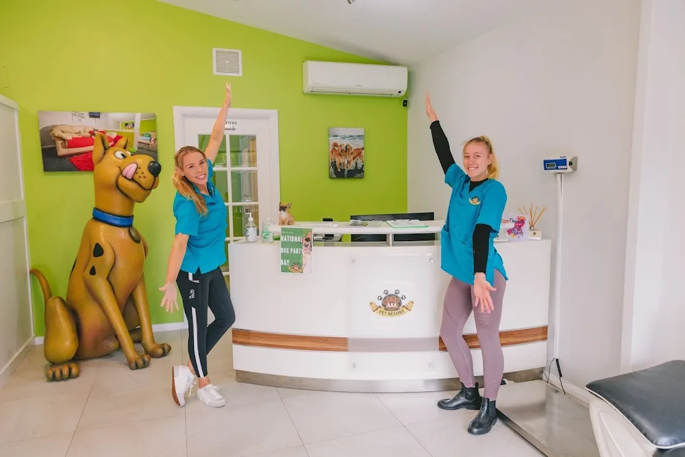 AAA Pet Resort Gold Coast - Australia pet otel
