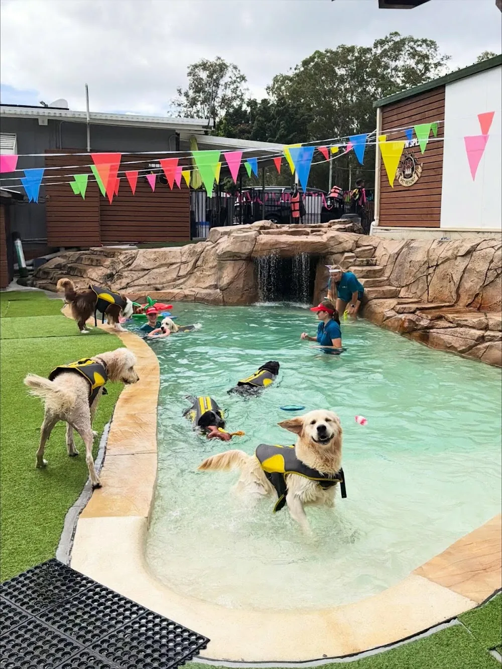 AAA Pet Resort Gold Coast - Australia pet otel görseli 3