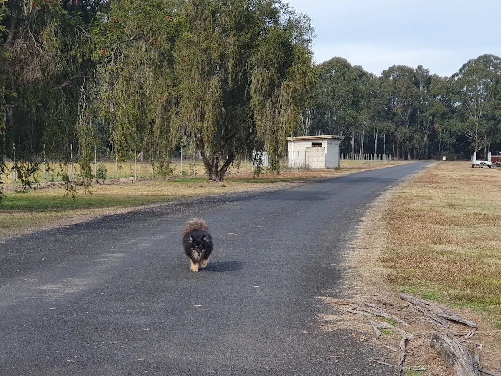 All Breeds Boarding Kennels & Cattery - Australia pet otel