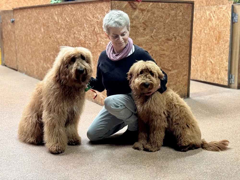 Alpha Boarding Kennels - Australia pet otel görseli 6