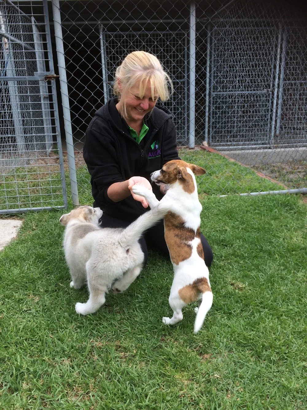 Auspet Boarding Kennels & Cattery - Australia pet otel görseli 7