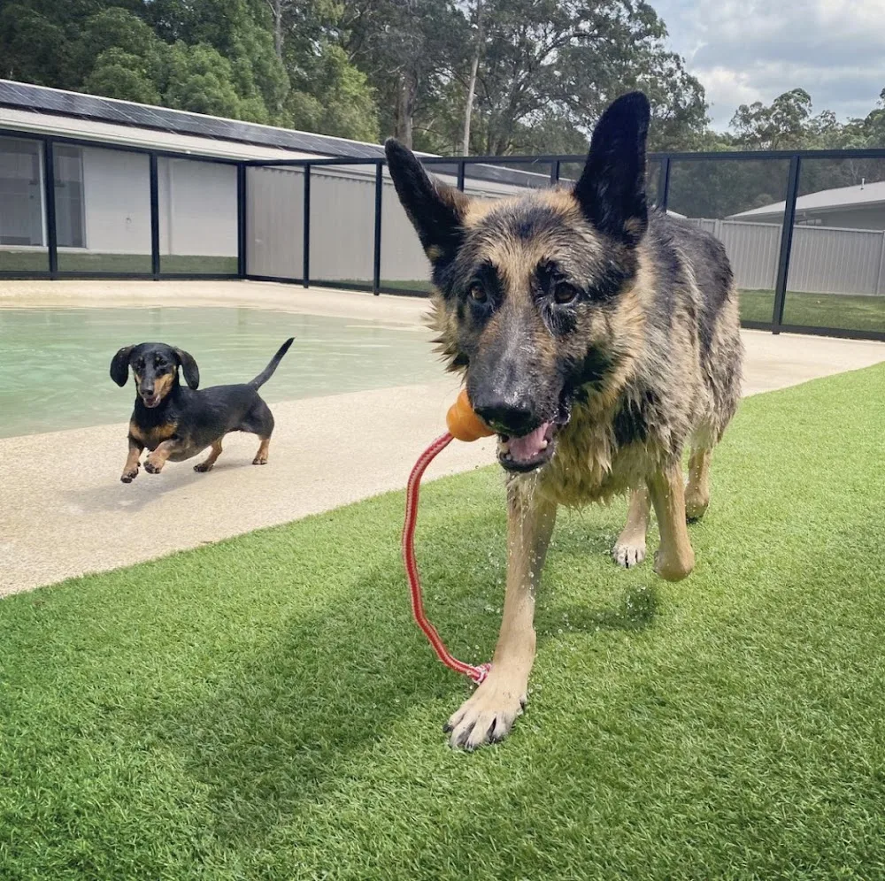 Barkroyal Hinterland Pet Resort - Australia pet otel görseli 3