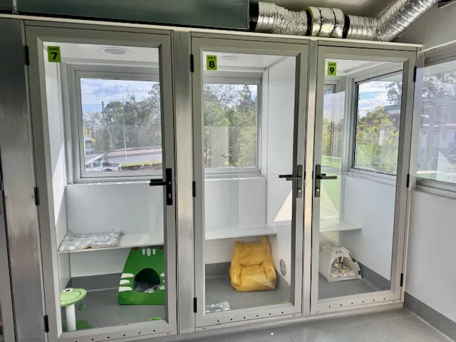 Brisbane Central Cat Hotel - Australia pet otel görseli 2