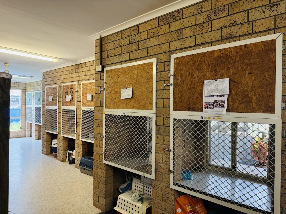 Cat's Cattery Cat Boarding Facility. - Australia pet otel görseli 3