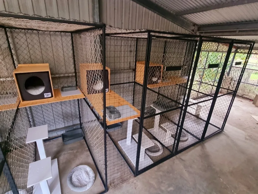Compass Cattery - Australia pet otel görseli 3