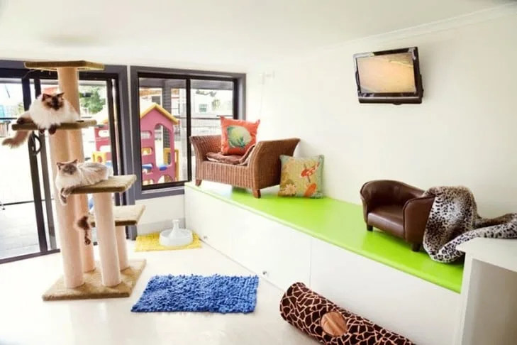 Cooinda Cat Resort - Australia pet otel görseli 4