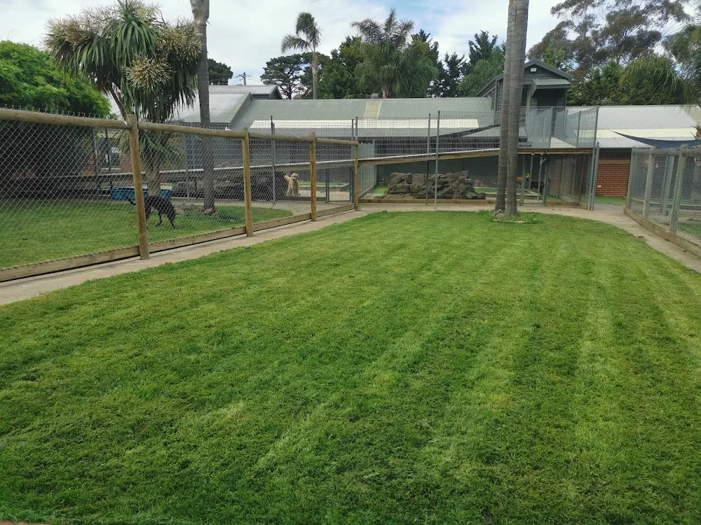 Cottage Kennels and Cattery - Australia pet otel görseli 11