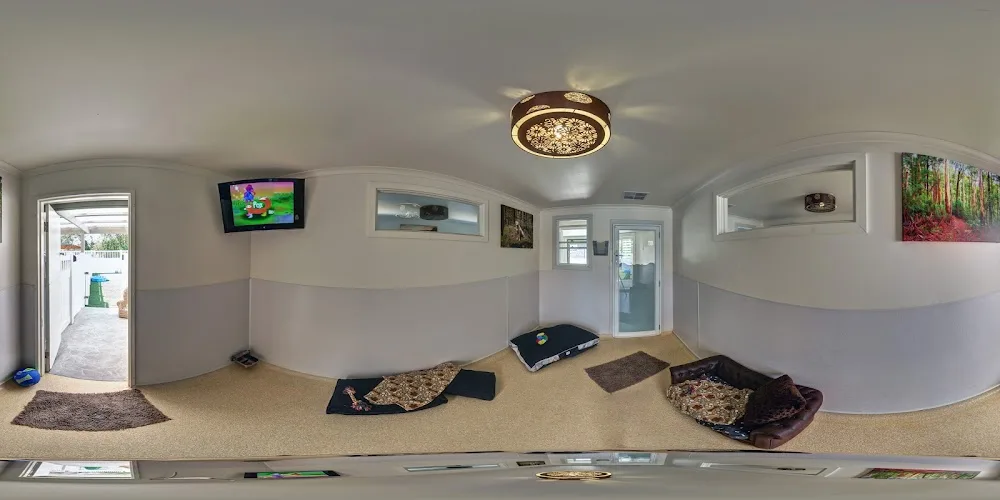 Dogs Country Club & Kennel Resort - Australia pet otel görseli 11