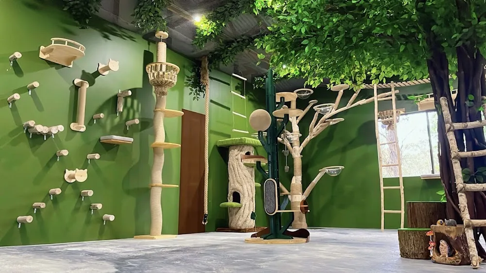 FluffyMW Cattery Boarding - Australia pet otel görseli 2