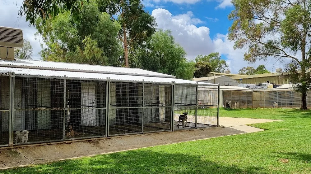 Golden Grove Boarding Kennels & Cattery - Australia pet otel görseli 2