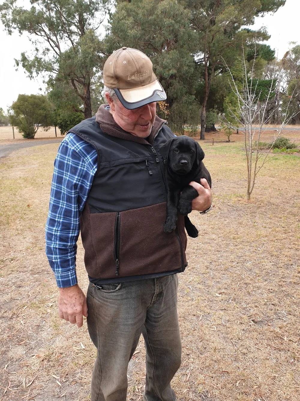 Kadnook Kennels - Australia pet otel görseli 2