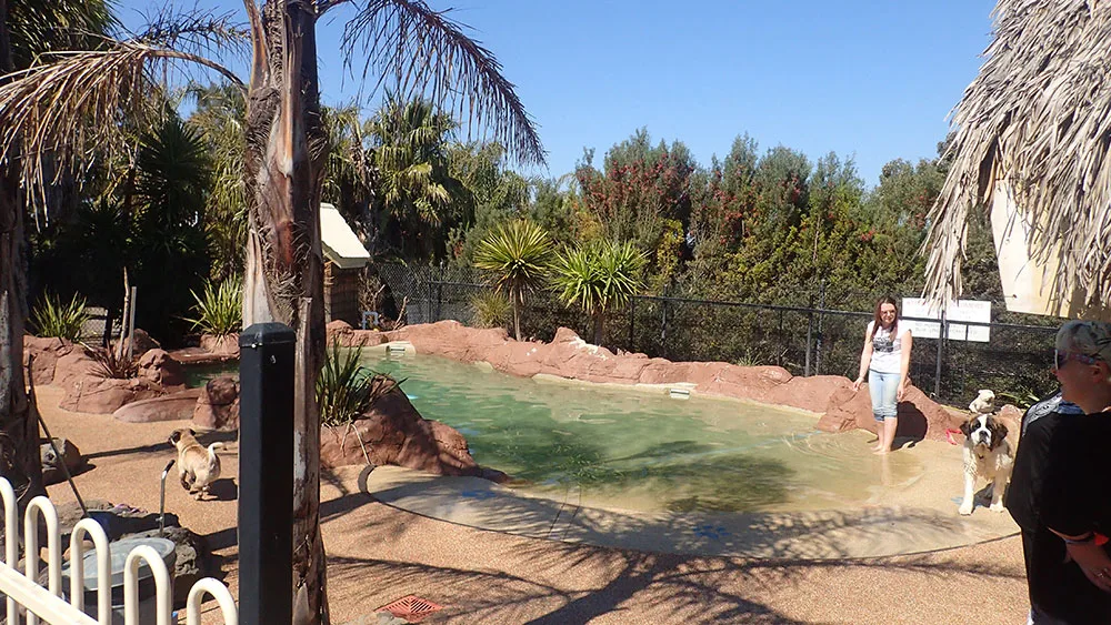 Kepala - Australia pet otel görseli 10