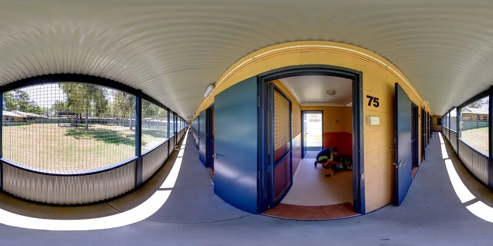 Kip Hunter Valley Cat & Dog Boarding - Australia pet otel görseli 4