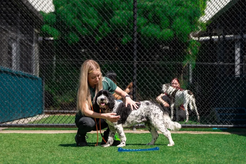 Kip Melbourne South East Cat & Dog Boarding - Australia pet otel görseli 2