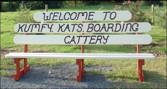 Kumfy Kats Boarding Cattery - Australia pet otel