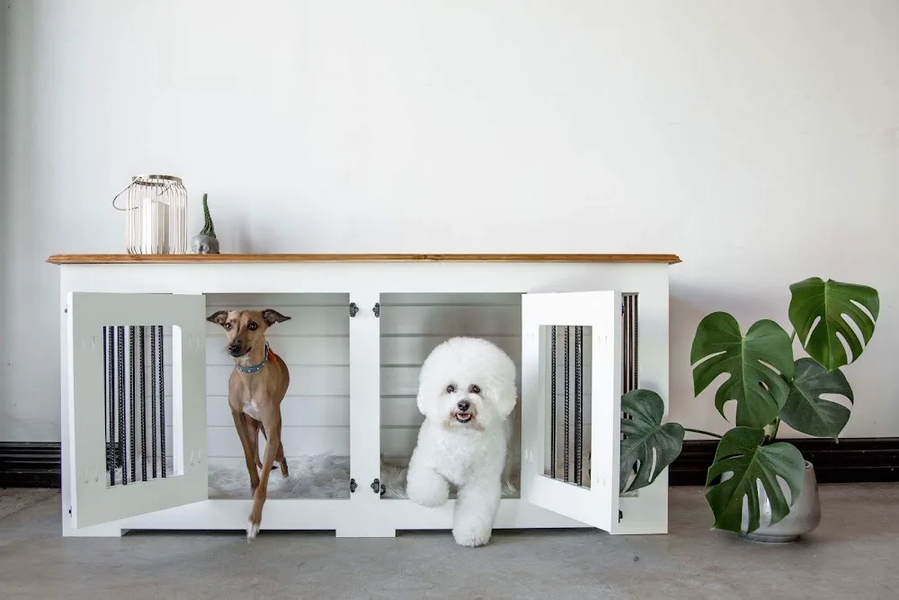 Kustom Kennels - Australia pet otel görseli 2