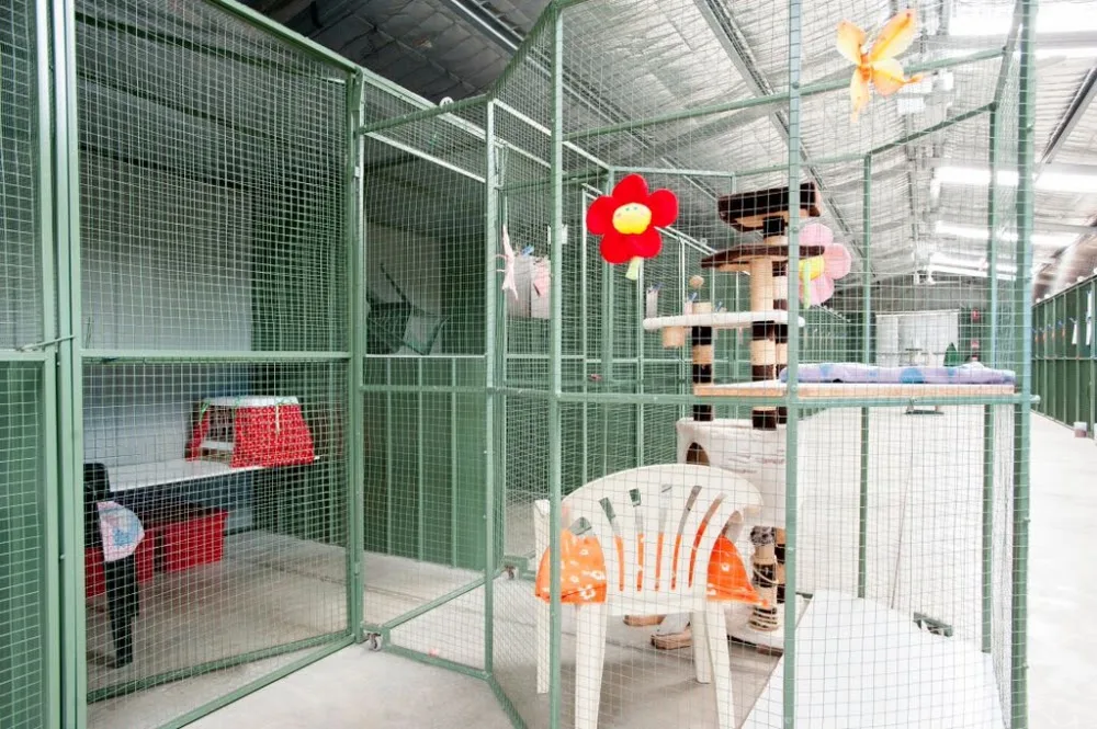 Lara Cattery PTY Ltd. - Australia pet otel görseli 2