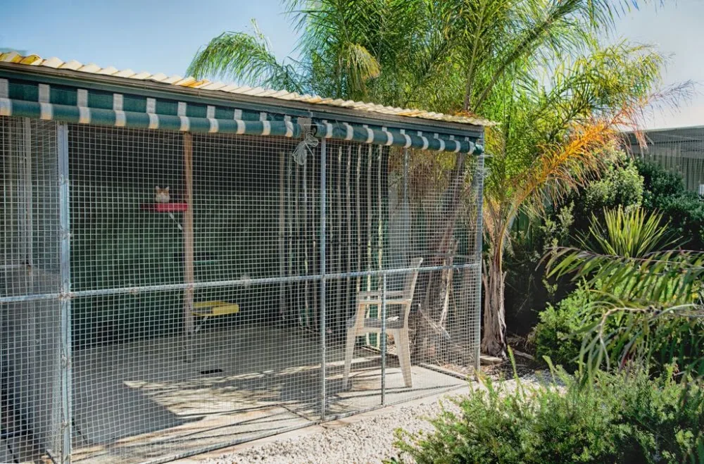 Lara Cattery PTY Ltd. - Australia pet otel görseli 7
