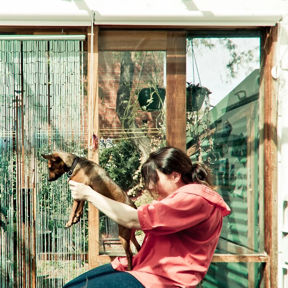 Lara Cattery PTY Ltd. - Australia pet otel görseli 9