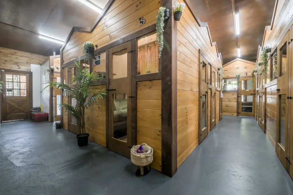 Luxury Cat Lodge - Cat Boarding Cattery Central Coast - Australia pet otel görseli 3