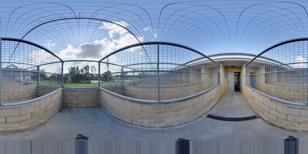 Paw Park Pet Resort - Australia pet otel görseli 4