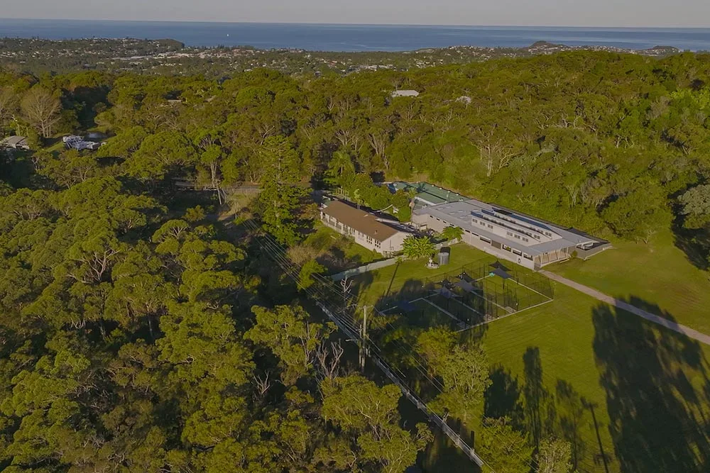 Pet Resorts Australia Ingleside - Australia pet otel görseli 2