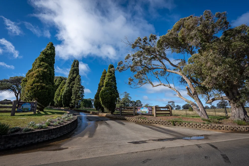 Pet Resorts Australia Southern Highlands - Australia pet otel görseli 6